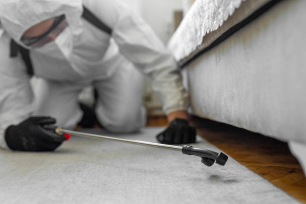 Professional Bed Bug Control technician working in Zachary, LA
