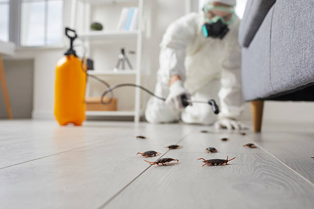 Trusted Cockroach Control service in Zachary, LA - Nex Pest Control